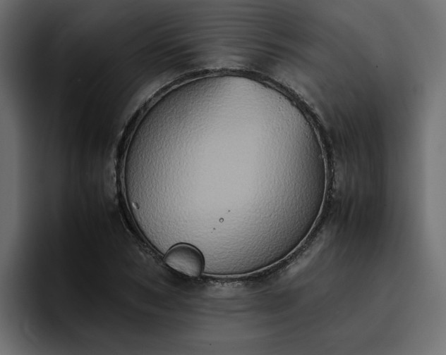 X0000095120978200712141132