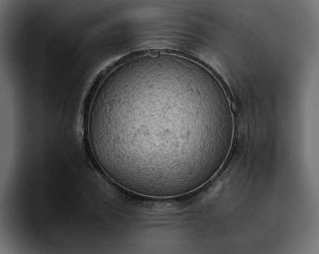 X0000095120979200712141132