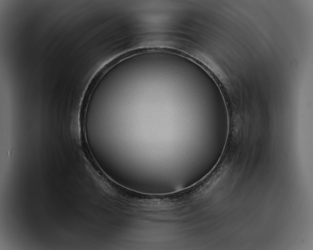 X0000095120980200712141132