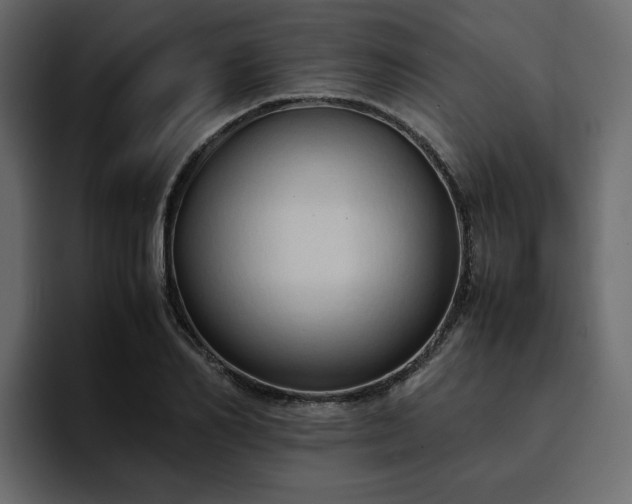 X0000095120982200712141132