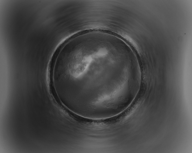 X0000095120983200712141132