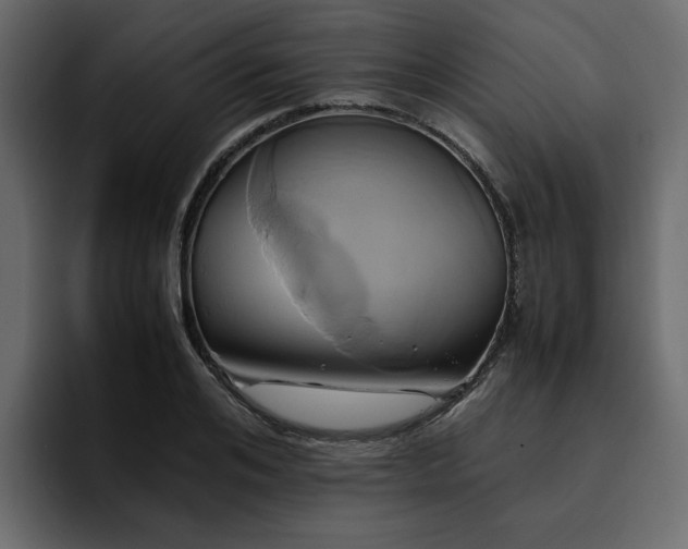 X0000095120984200712141132