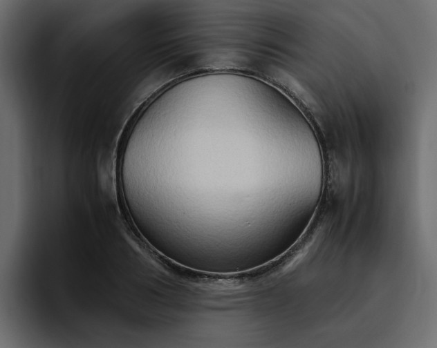 X0000095120986200712141132