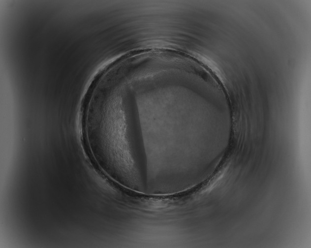 X0000095120987200712141132