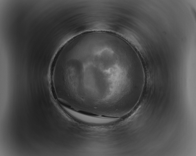 X0000095120990200712141132