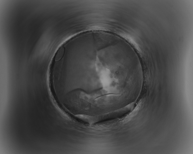 X0000095120991200712141132