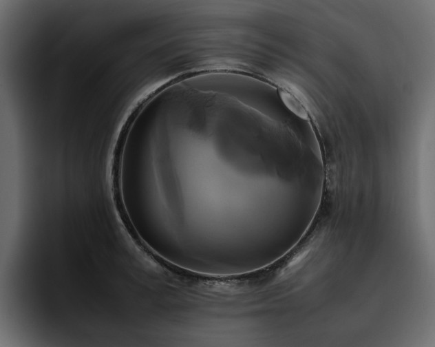 X0000095120995200712141132