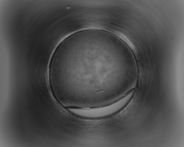 X0000095120996200712141132