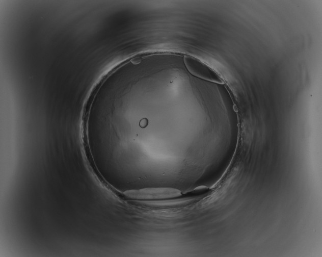 X0000095120998200712141132