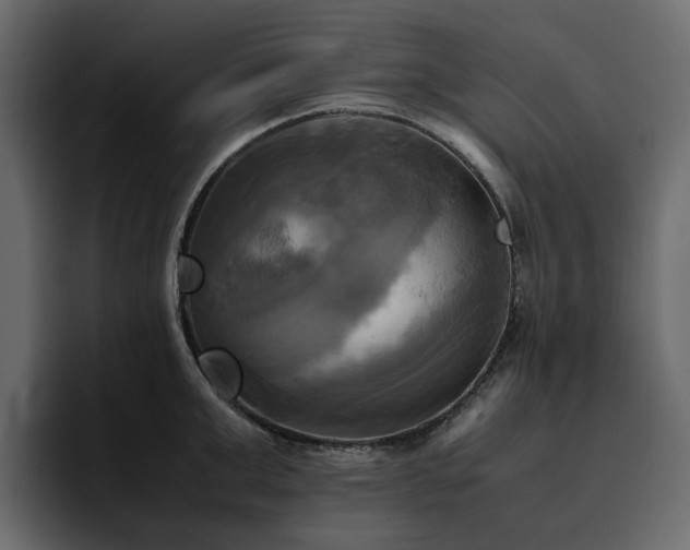 X0000095120999200712141132