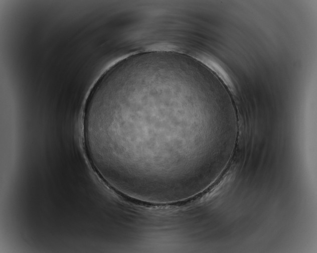 X0000095121000200712141132