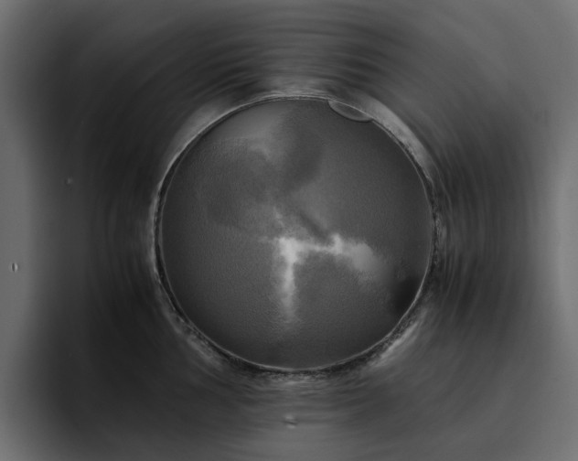 X0000095121002200712141132