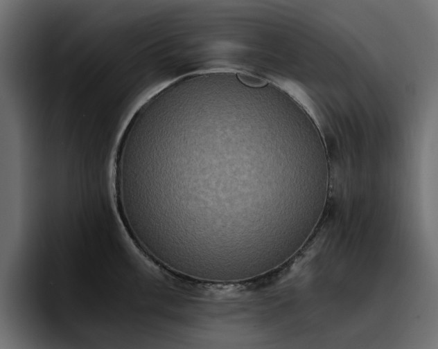 X0000095121003200712141132