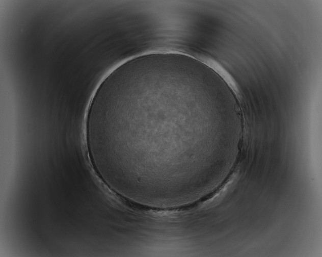 X0000095121004200712141132