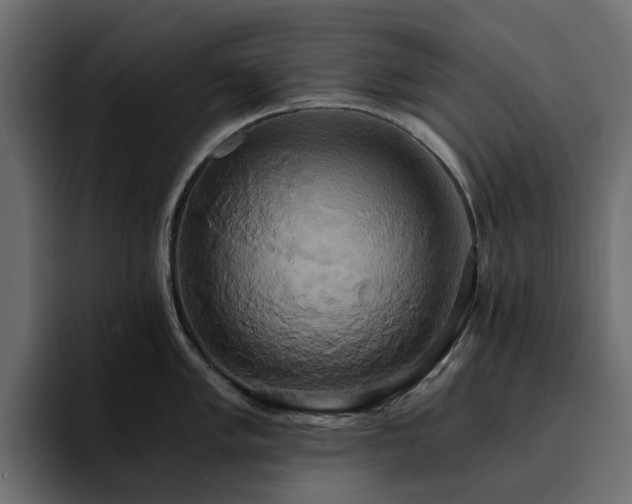 X0000095121005200712141132