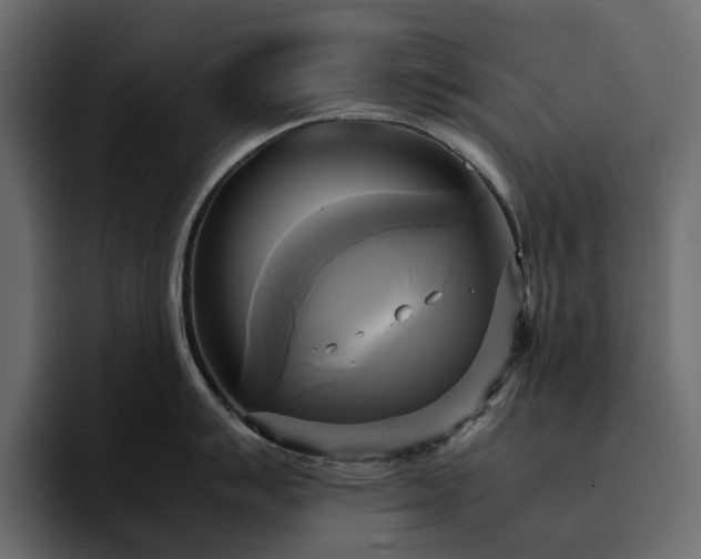 X0000095121007200712141132