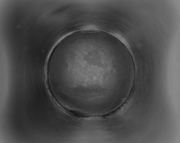 X0000095121008200712141132