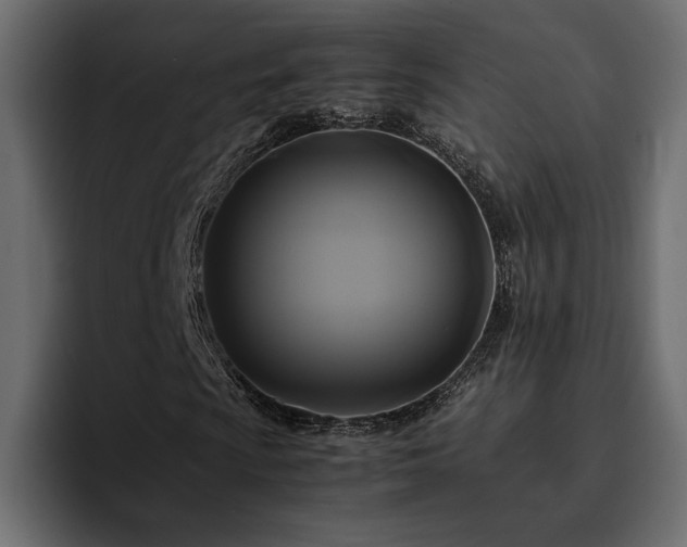 X0000095121009200712141131