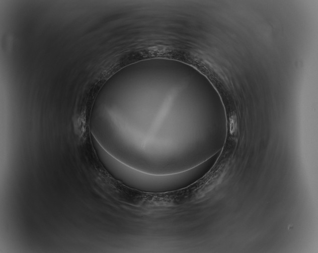 X0000095121011200712141131