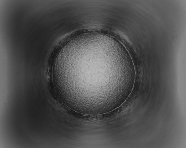 X0000095121016200712141131