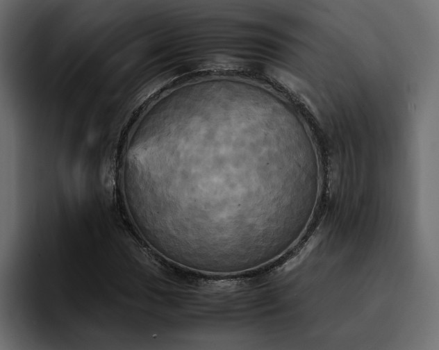 X0000095121017200712141131