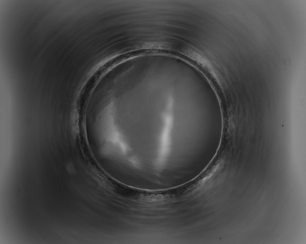 X0000095121019200712141131