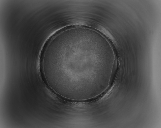 X0000095121020200712141131