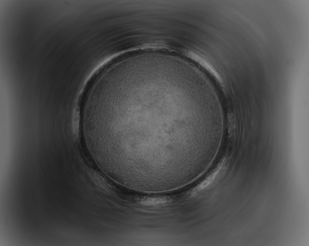 X0000095121021200712141131