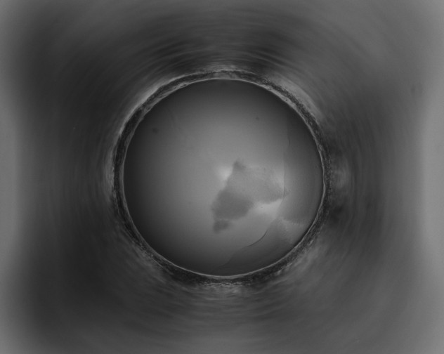 X0000095121023200712141132