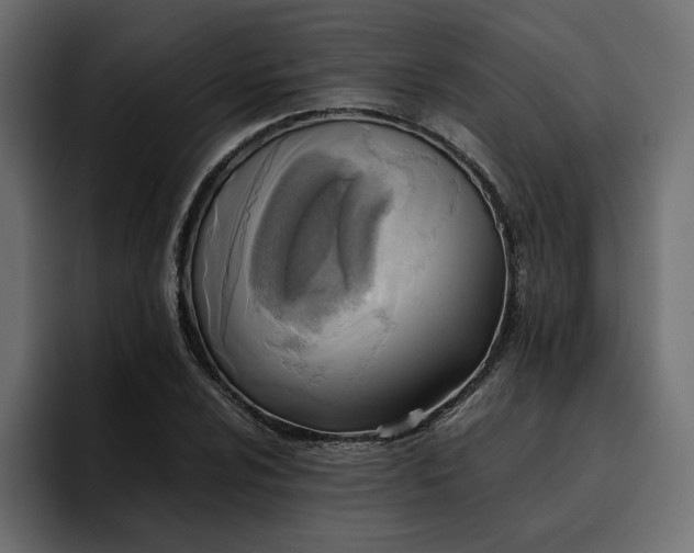 X0000095121024200712141132