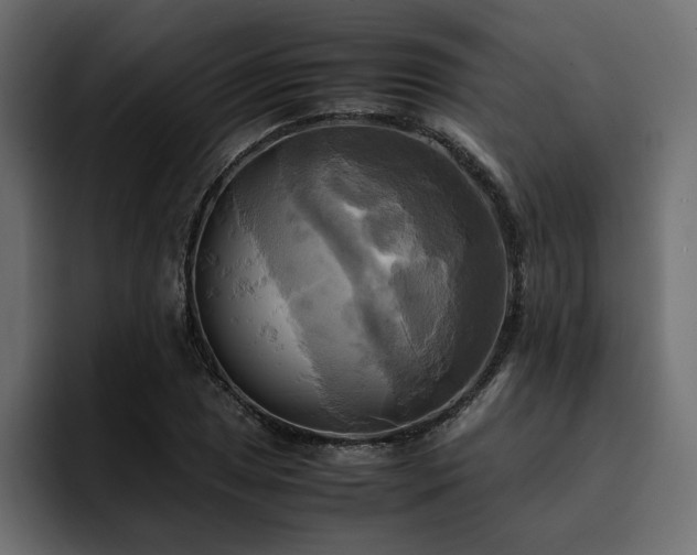 X0000095121025200712141132