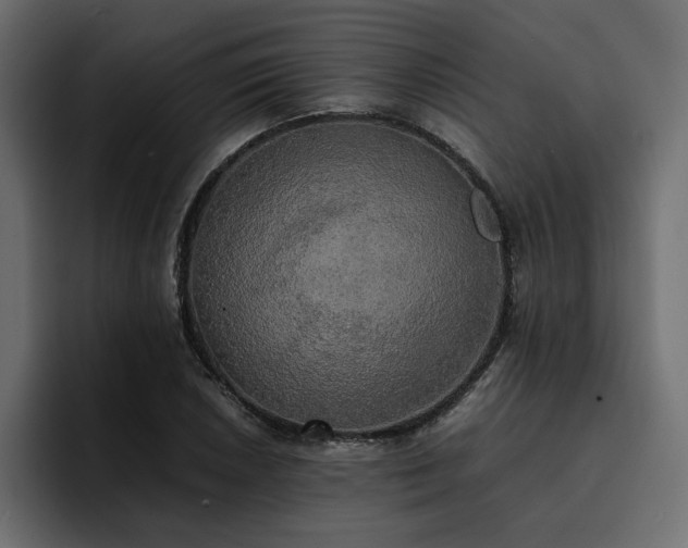 X0000095121026200712141132