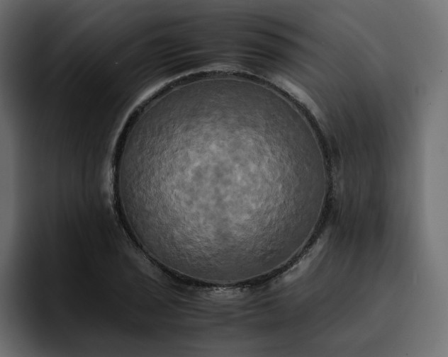 X0000095121029200712141132