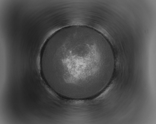 X0000095121030200712141132