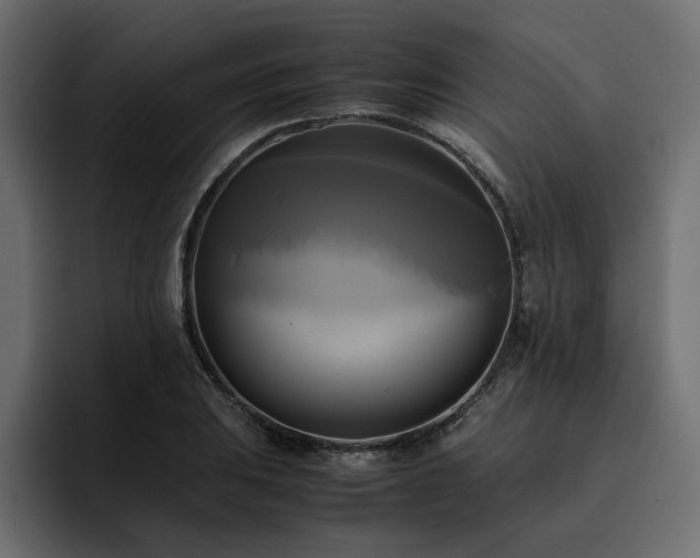 X0000095121031200712141132