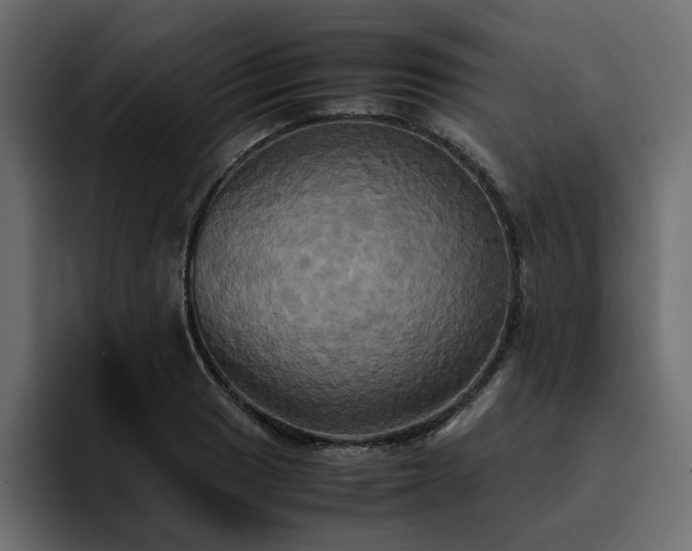 X0000095121033200712141132