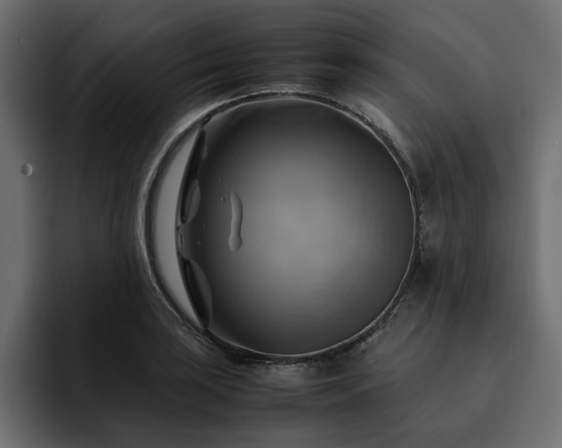 X0000095121035200712141132