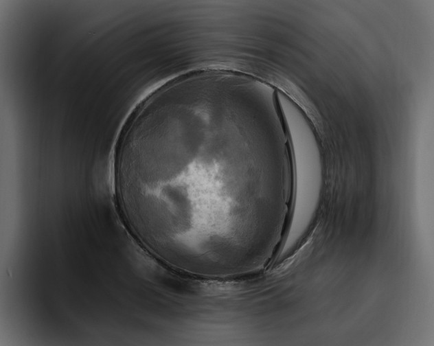 X0000095121036200712141132