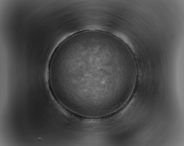 X0000095121040200712141132