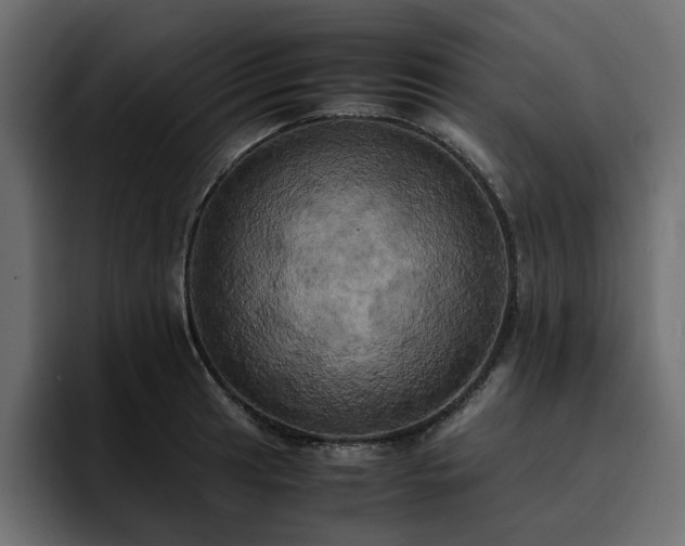 X0000095121041200712141132