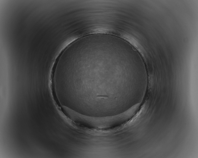 X0000095121042200712141132