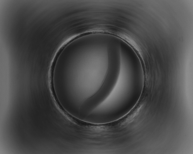 X0000095121045200712141132