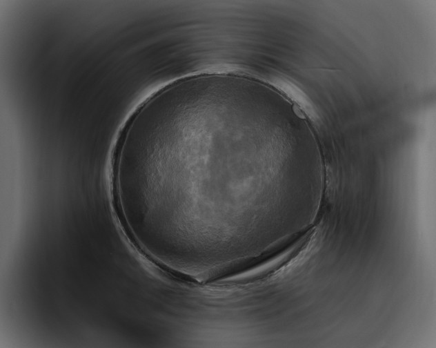 X0000095121046200712141132