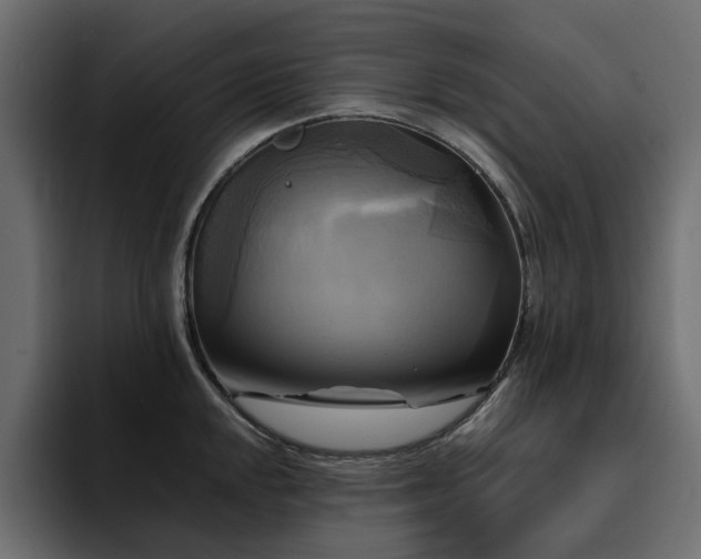 X0000095121048200712141132