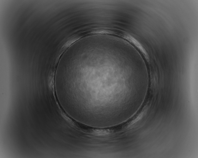 X0000095121049200712141132