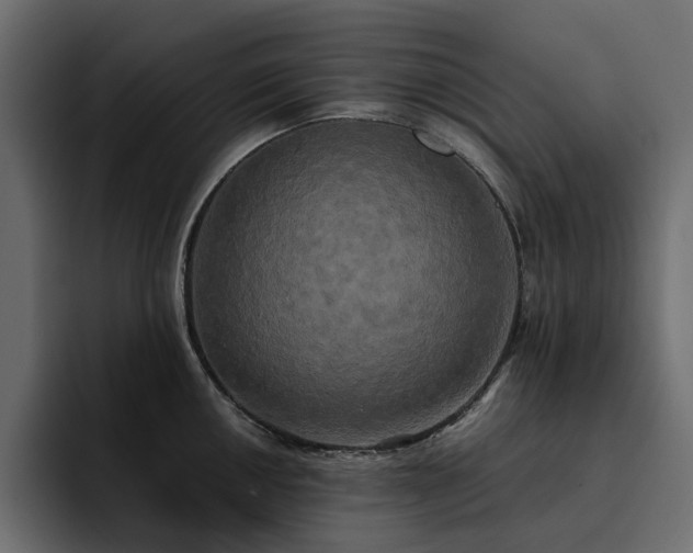 X0000095121050200712141132