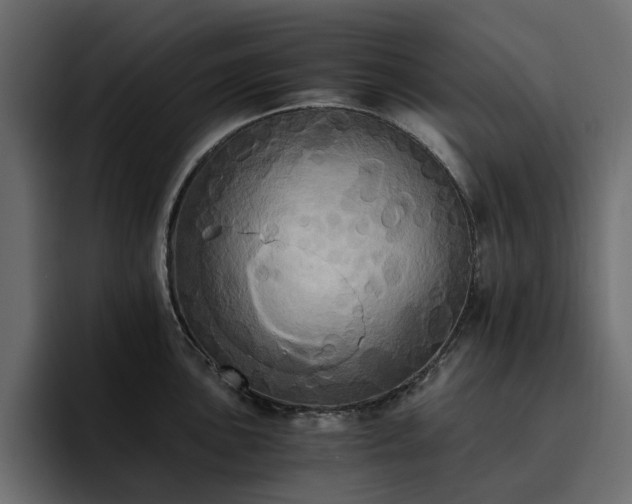 X0000095121051200712141132