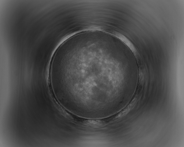 X0000095121052200712141132