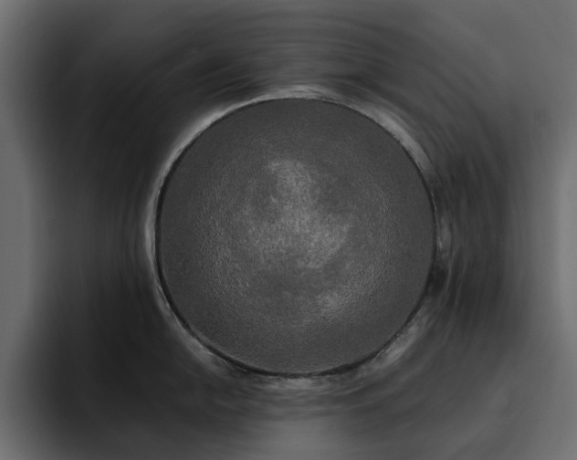 X0000095121054200712141132