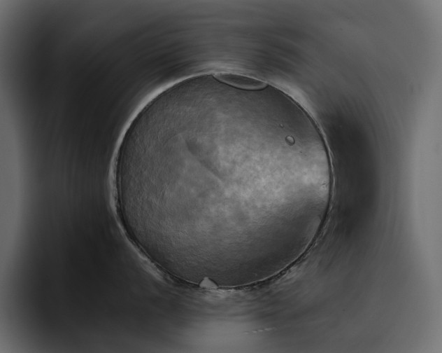 X0000095121056200712141132